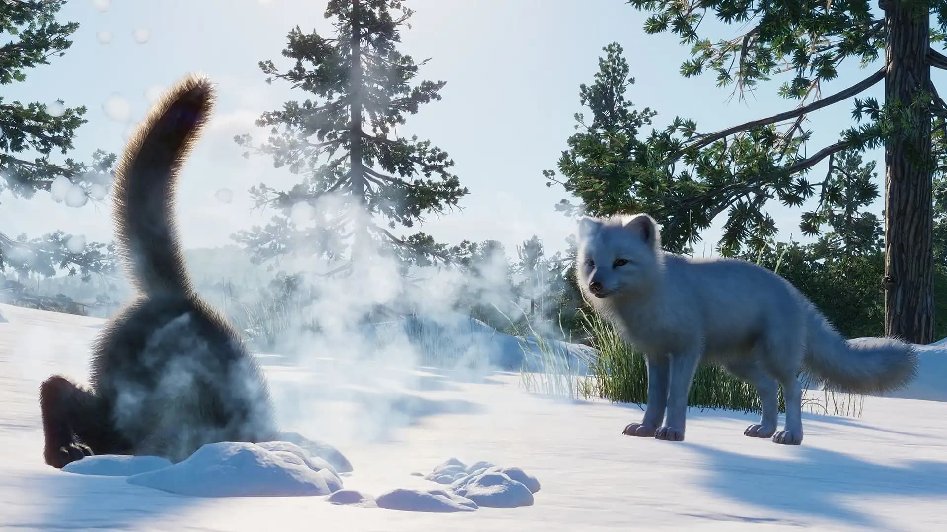 Planet Zoo: North America Animal Pack media 5