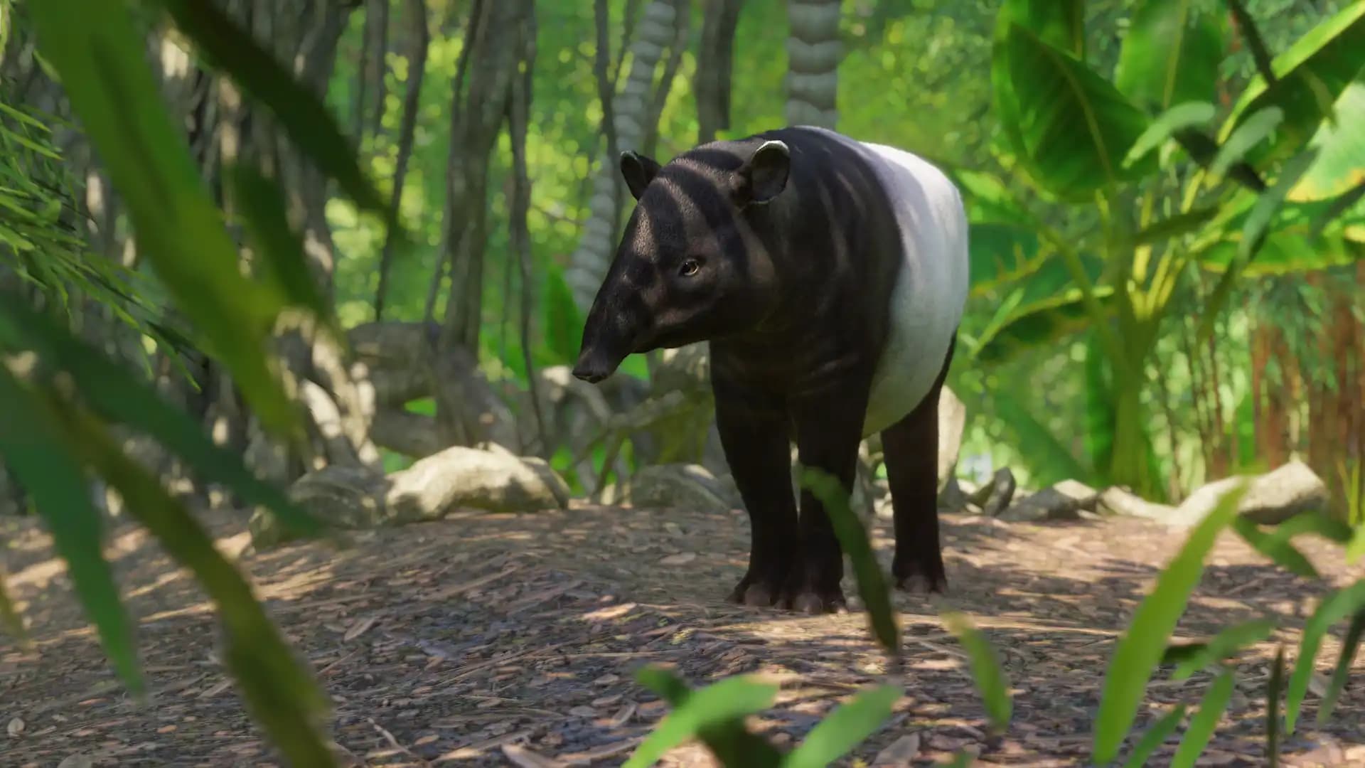 Planet Zoo: Southeast Asia Animal Pack media 3