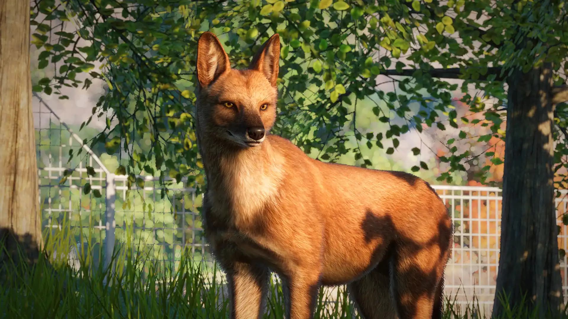 Planet Zoo: Southeast Asia Animal Pack media 5