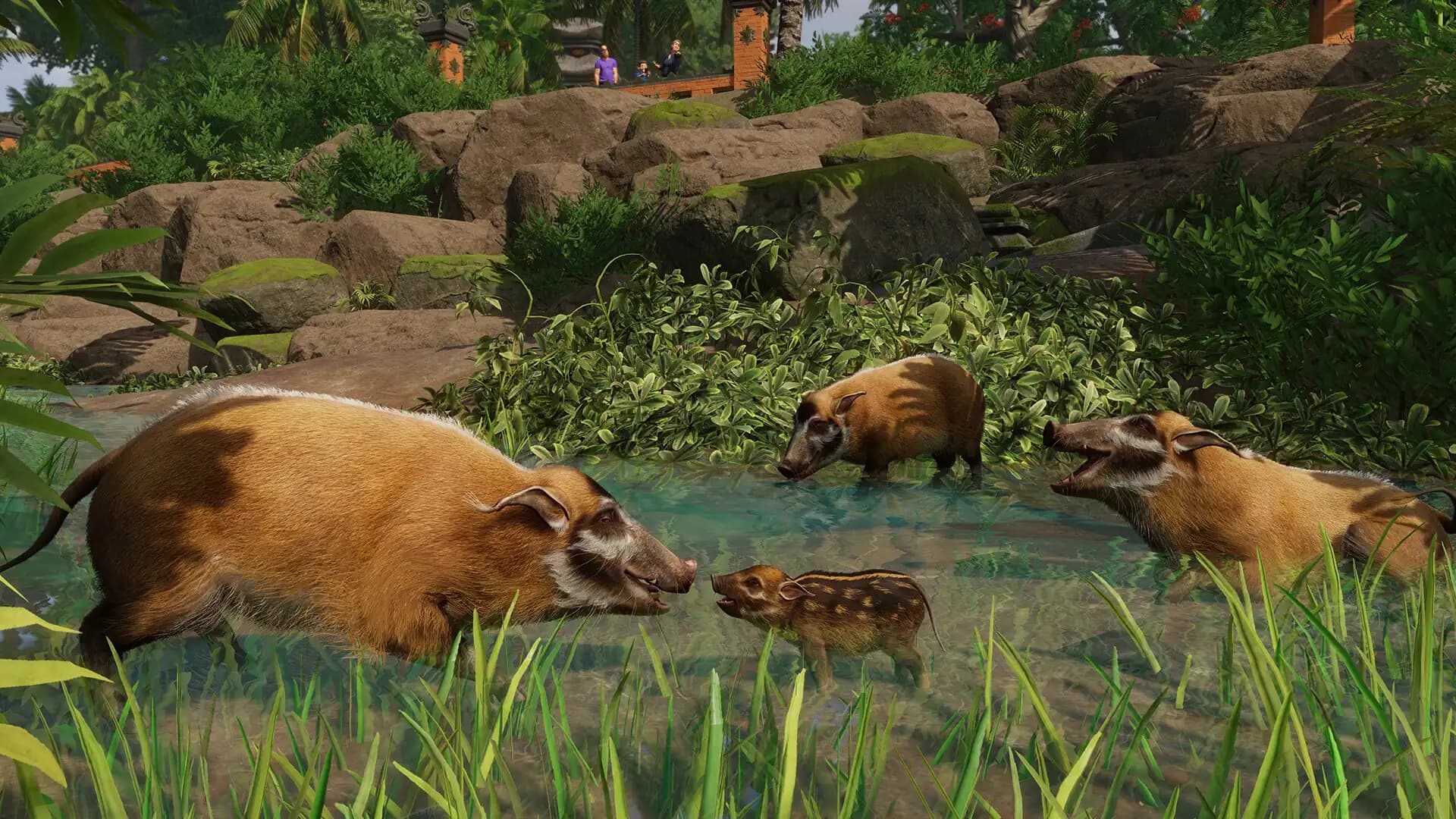 Planet Zoo: Tropical Pack media 2