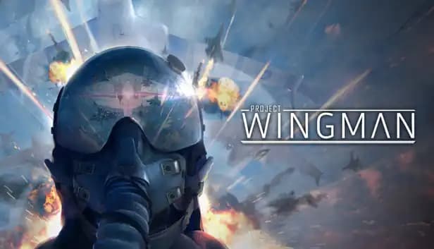 Project Wingman cover