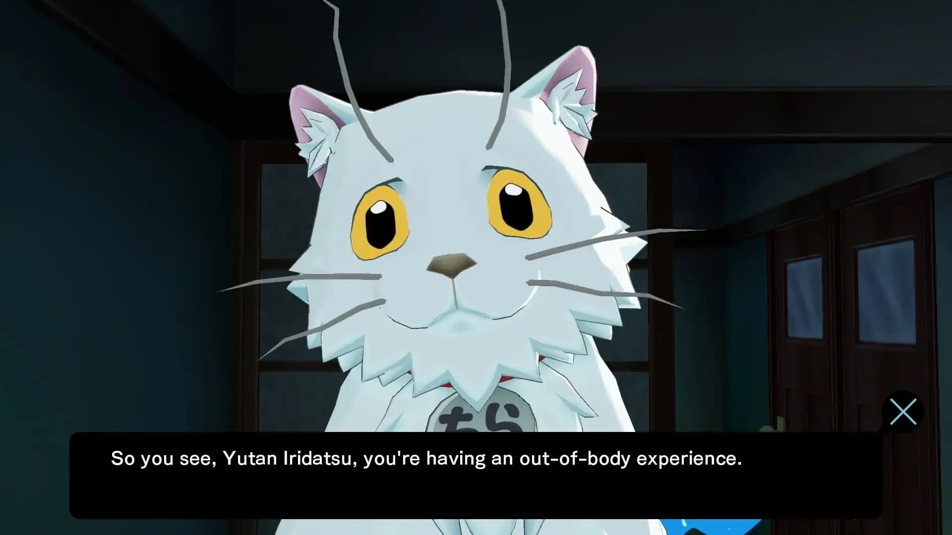 Punch Line media 1