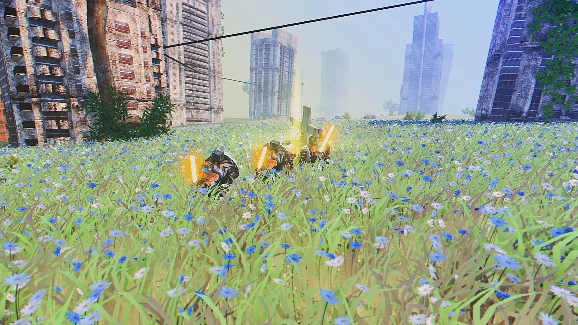 Ragnorium media 3