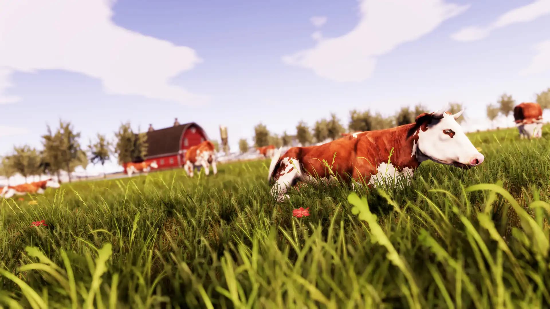 Real Farm media 3