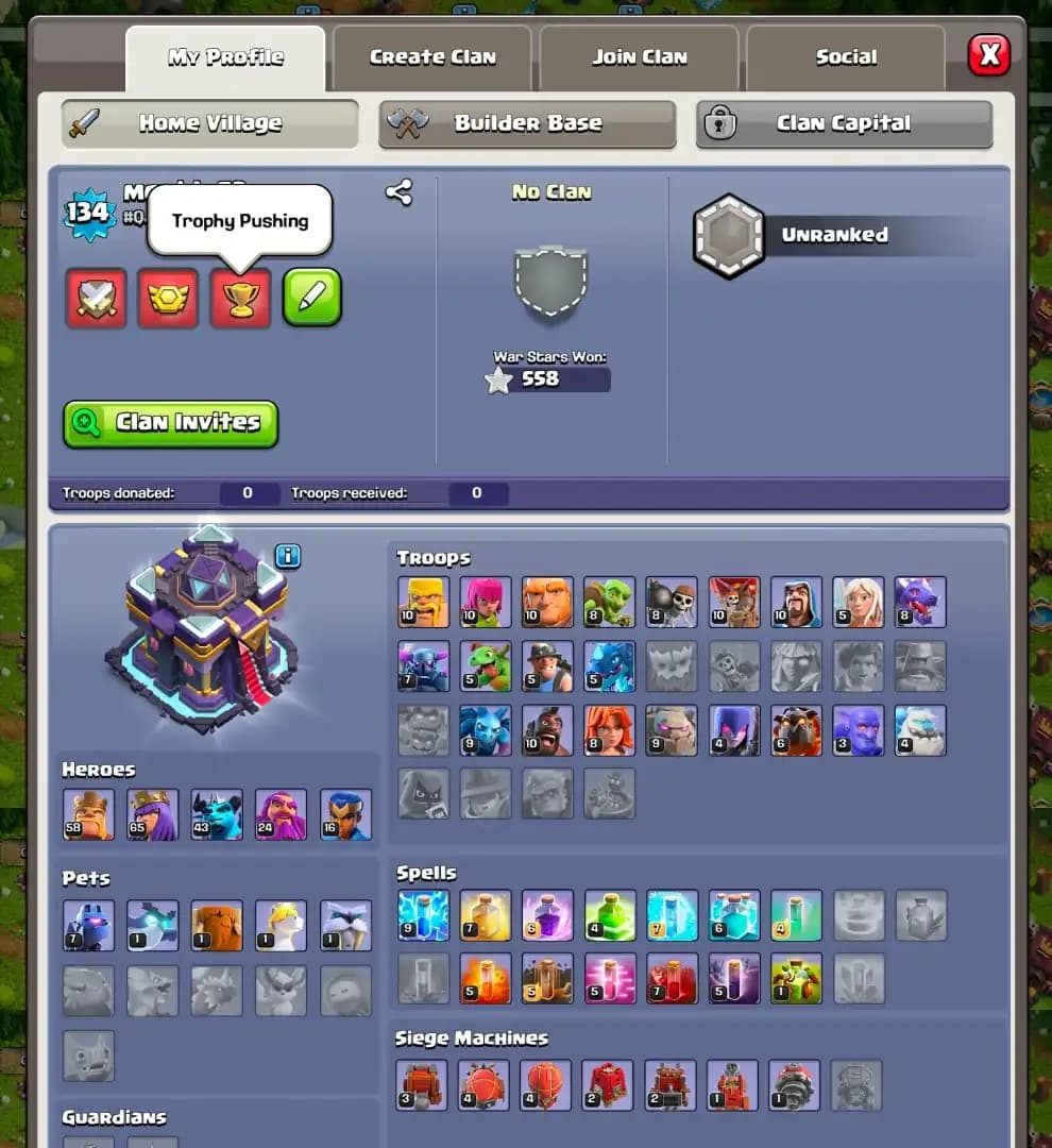 BEST DEAL ➤TH15 NEAR MAX ➤GOLDEN WALL ➤HEROES: 58-65-43-24-16 ➤EPIC YES ➤558 WS ➤XP-132 ➤PIXEL SCENERY ➤FULL ACCESS