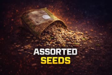 Arc Raider | x1000 Assorted Seeds - Global