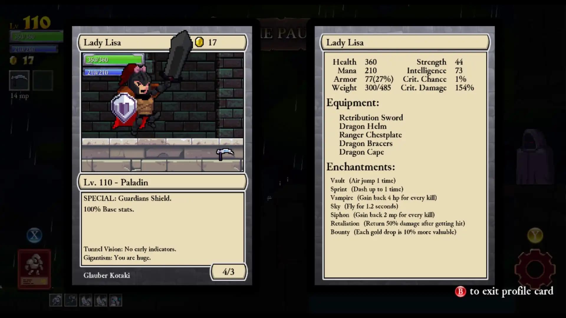 Rogue Legacy media 2