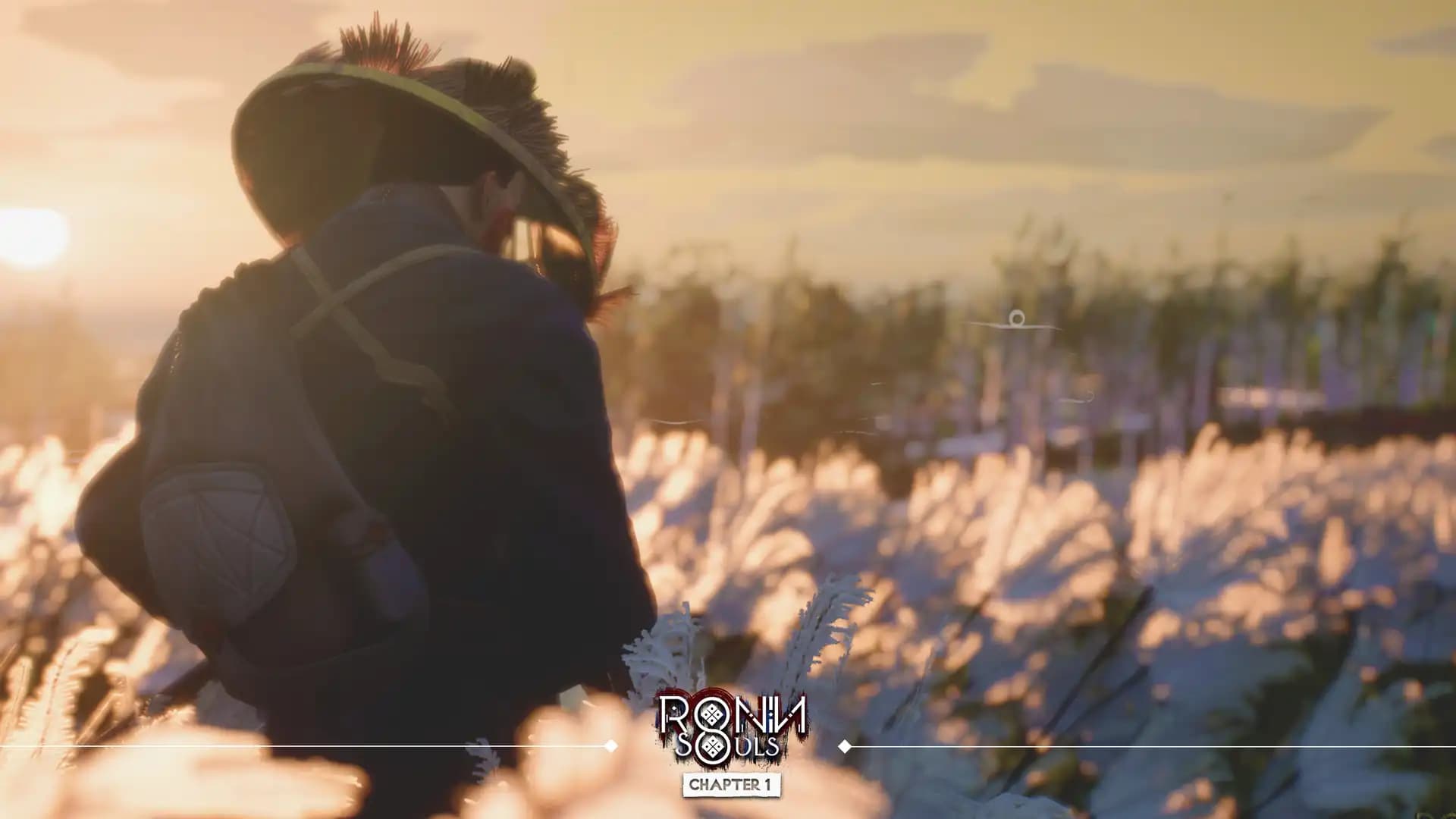 RONIN: Two Souls media 1