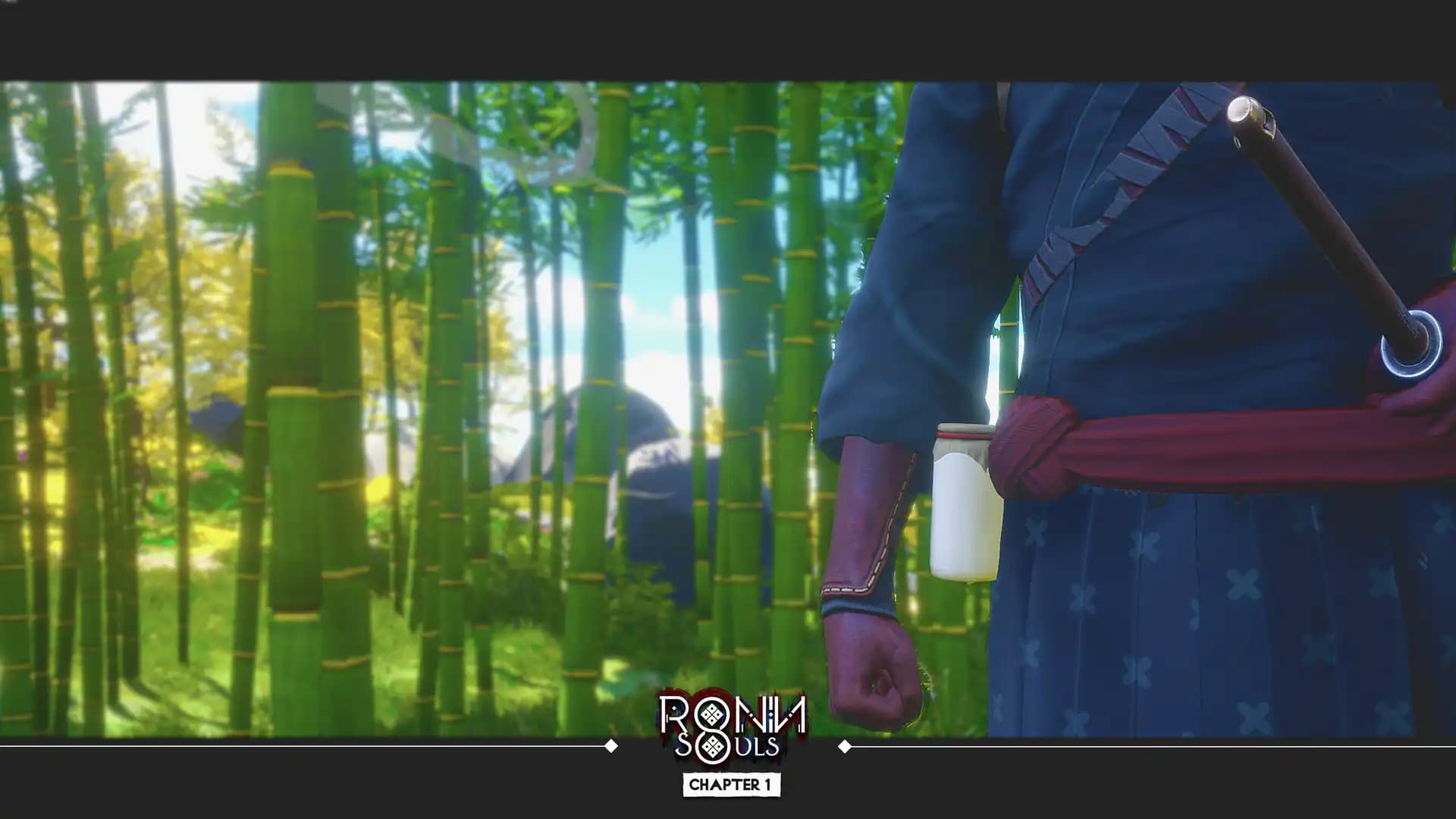 RONIN: Two Souls media 2
