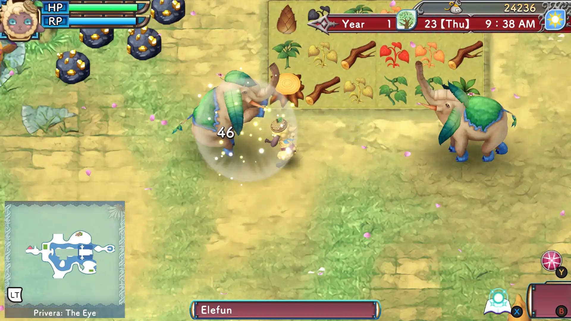 Rune Factory 3 Special media 1