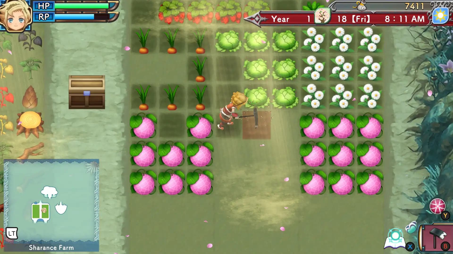 Rune Factory 3 Special media 5