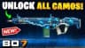 BO7 | Level 55 | 30 Singularity Camos | Prestige 2 | Full Access