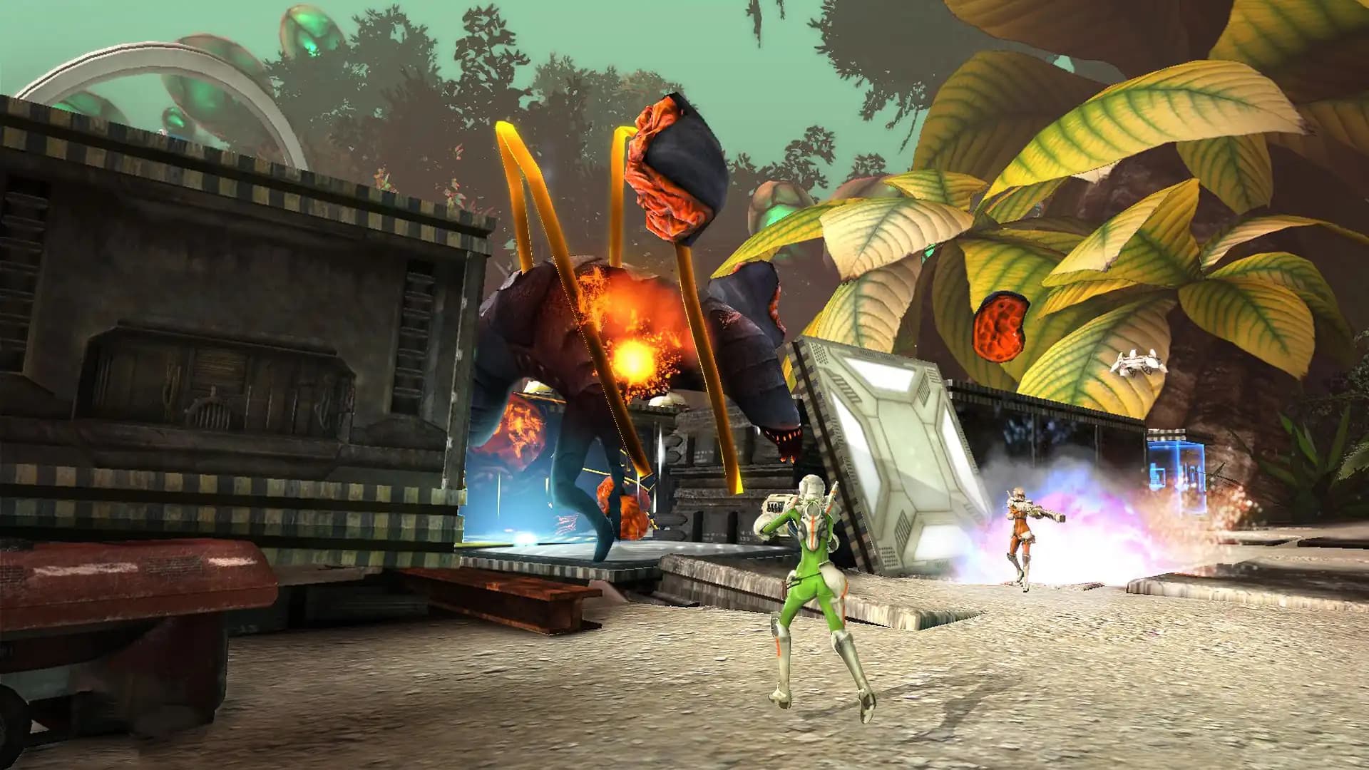 Sanctum media 2