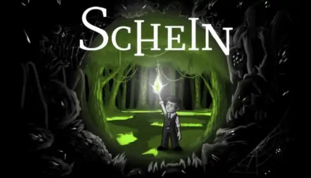 Schein cover