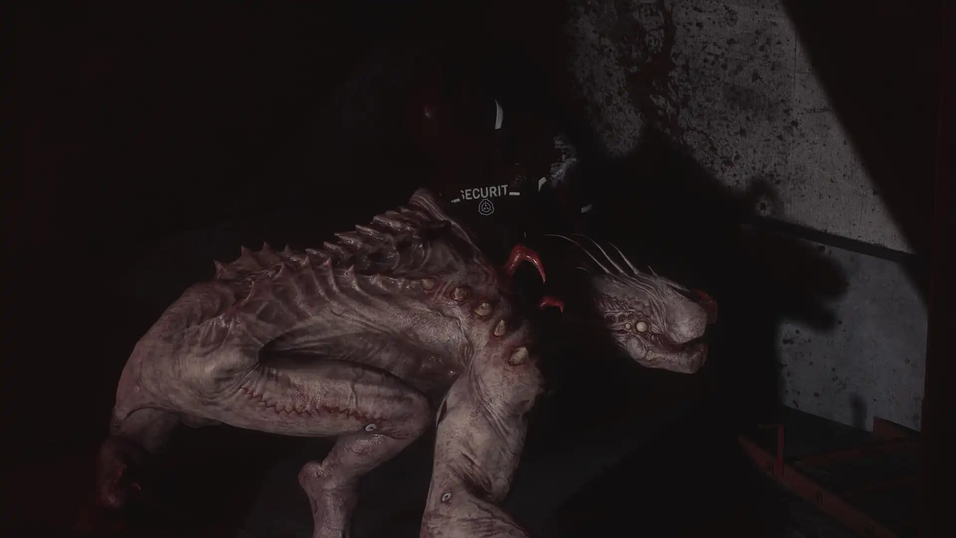 SCP: 5K media 1