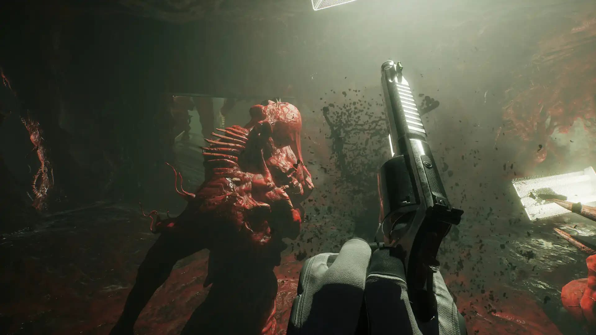 SCP: 5K media 2
