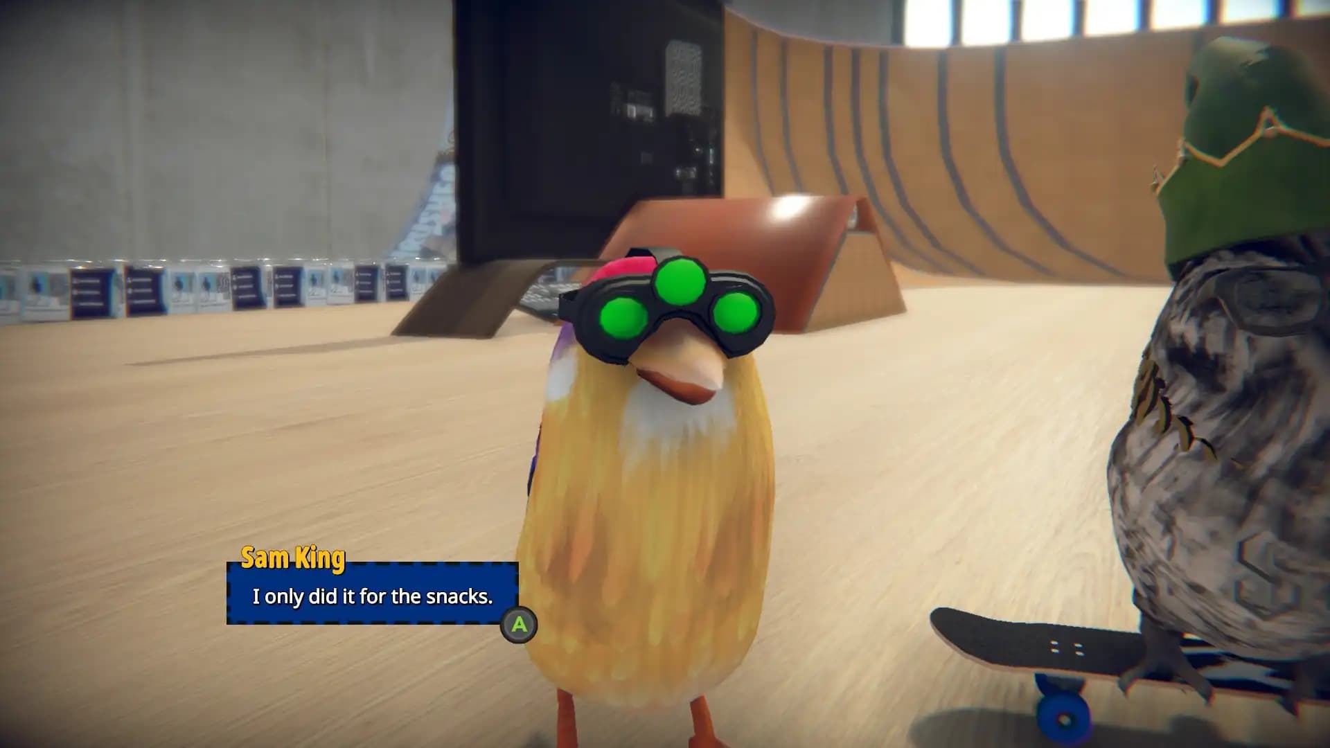 SkateBIRD media 3