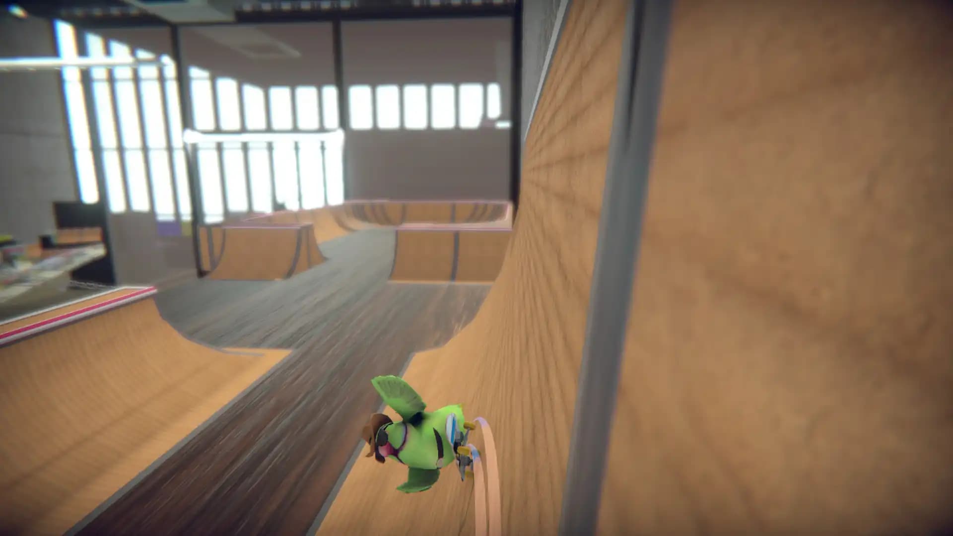 SkateBIRD media 5