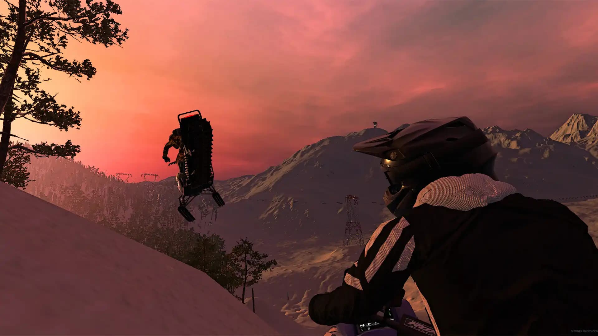 Sledders media 3