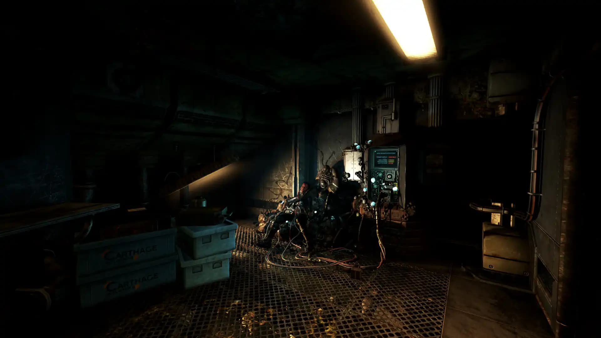 SOMA media 5