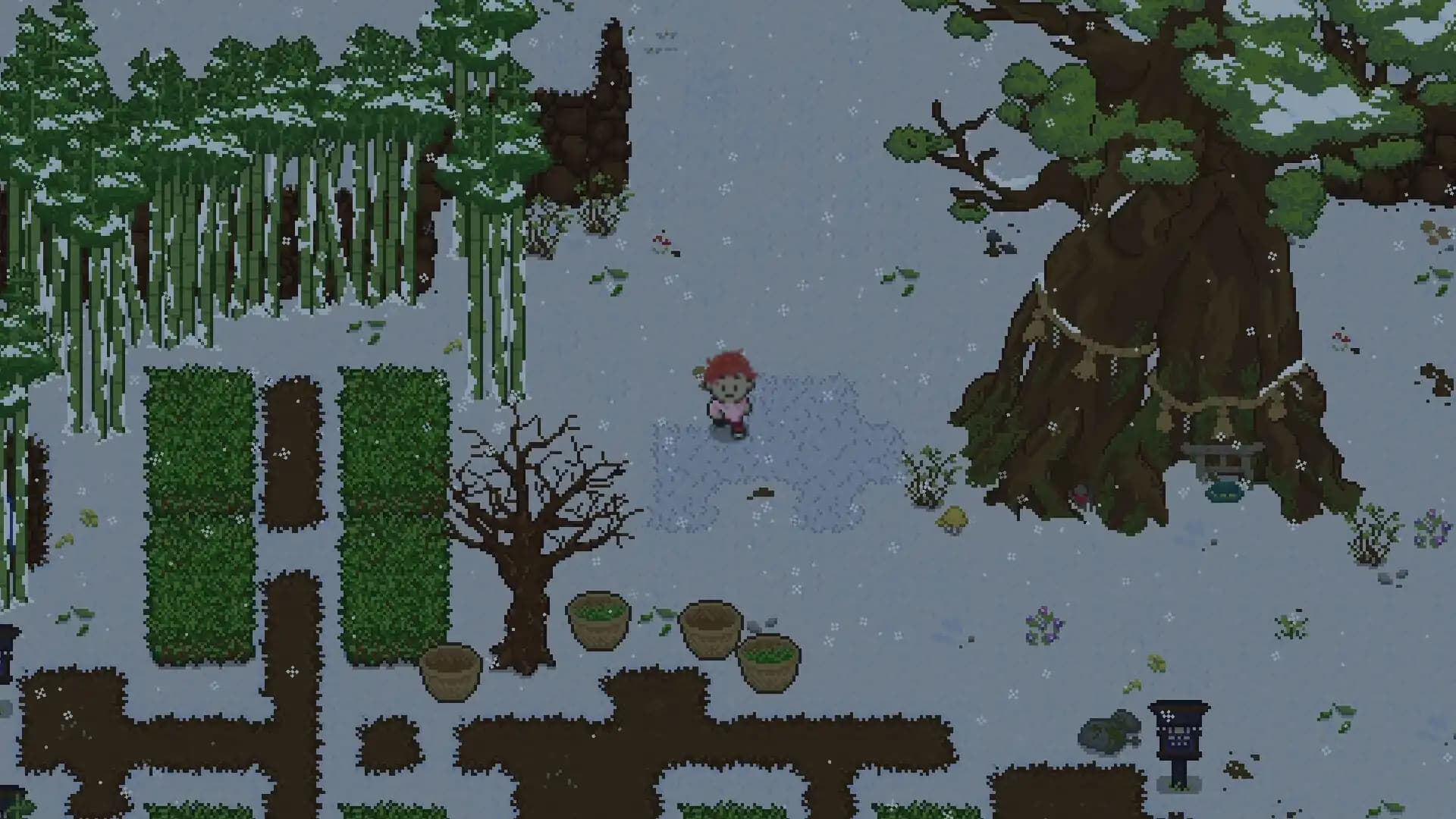 Spirittea media 3