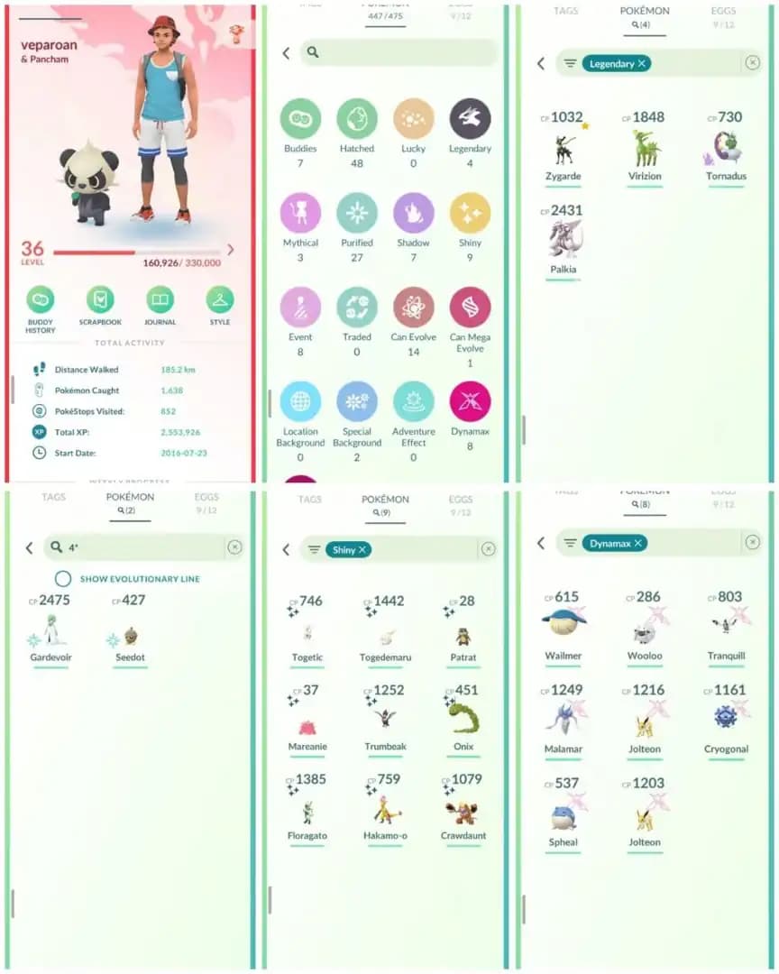 R99 | Level36 | 4 Legendary | Hundo Gardevoir | 8 Dmax | 9 Shiny | Shiny Toegtic | Palkia | Starter Account