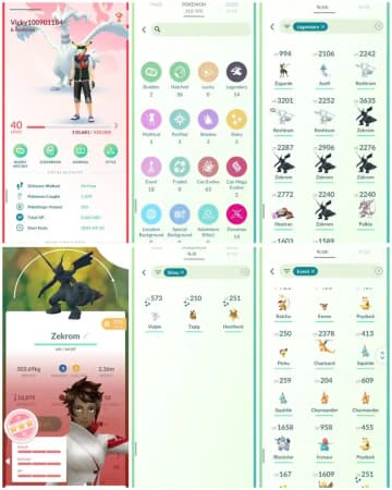 R85 | Level40 | 14 Legendary | 3 Shiny | Hundo Zekrom | Reshiram | Palkia | 18 Costume Pokemons | 14 Dmax | Rare Account - Global