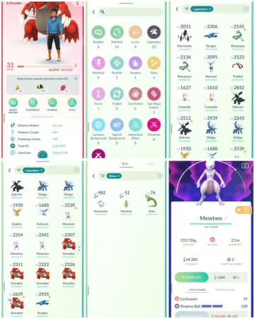 R36 | Level31 | 23 Legendary | 3 Shiny | 3 Mewtwo | Shiny Onix | Shiny Machop | Groudon | Kyogre | Zekrom | Rayquaza | Necrozma | Dailga | - Global