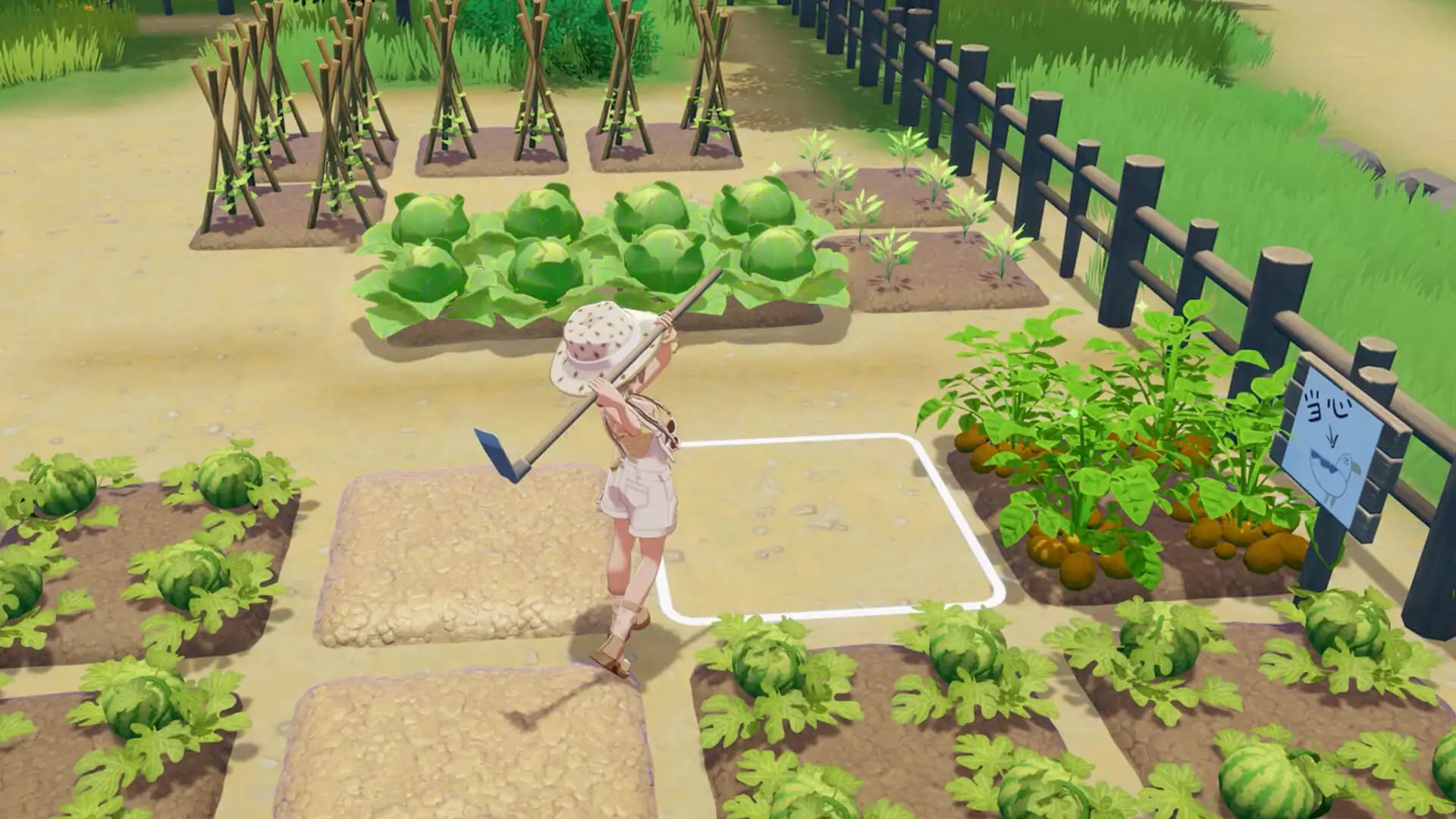 Starsand Island media 2