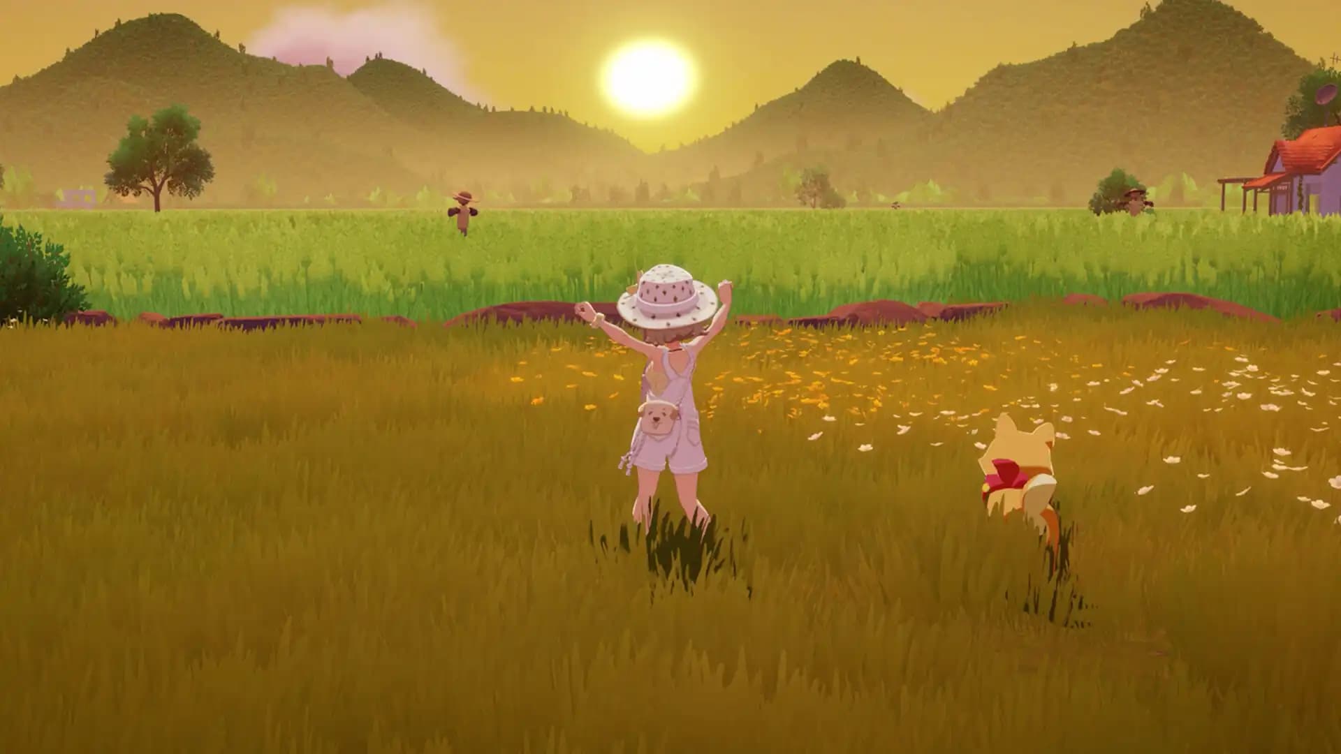 Starsand Island media 5