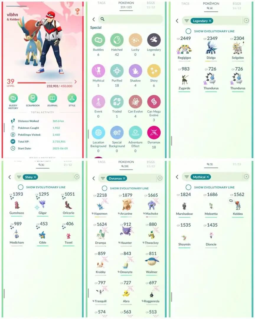 R145 | Level39 | 6 Legendary | 6 Shiny | Solgaleo | Rare Shiny Toxel | 18 Dmax | Marshadow | Keldeo | Mini Account