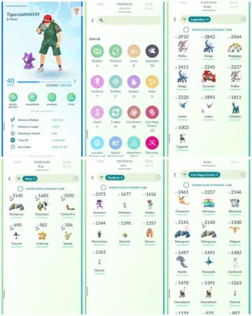 VJ3 | Level40 | 10 Legendary | 6 Shiny | 1 Shiny Dmax | Groudon | Marshadow | Keldeo | Toxel | Mini Account - Global