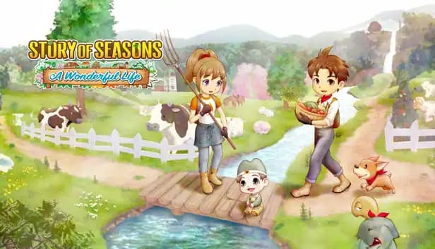 Story of Seasons: A Wonderful Life cover