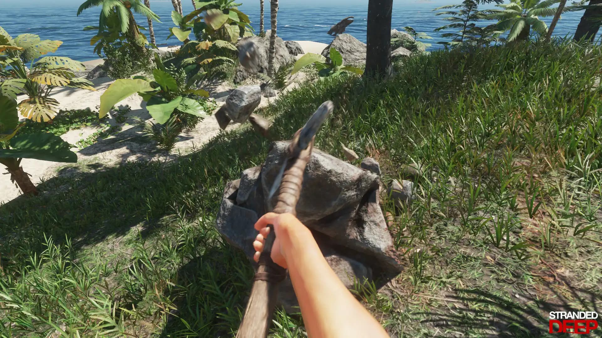 Stranded Deep media 5