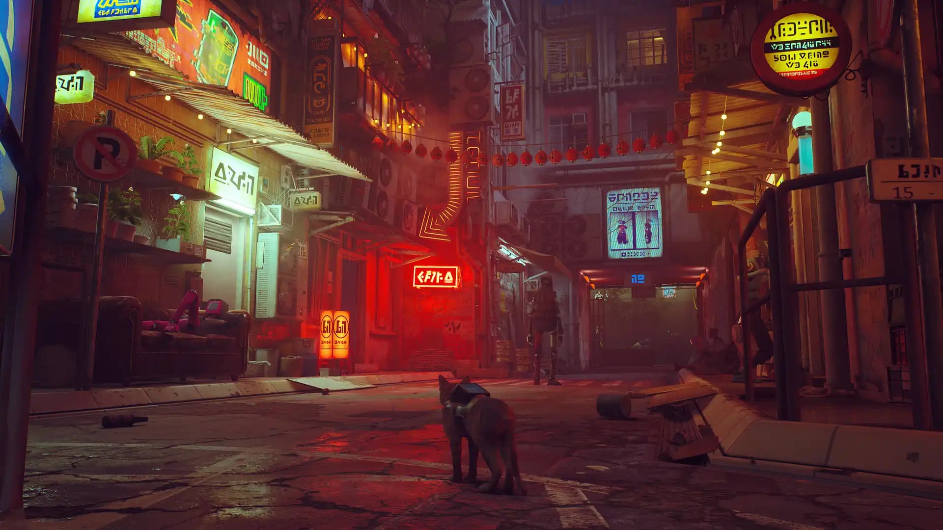 Stray media 1