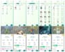 Level 41 Valor 🏆 67 Legendary 🏆 51 Shiny 🏆 Shiny Legendary Zekrom 🏆 13 Shadow Legendary 🏆 5 Special BG 🏆 All Tradable