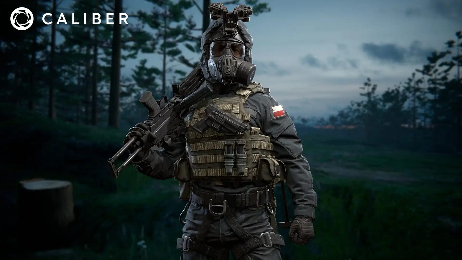 Caliber cover