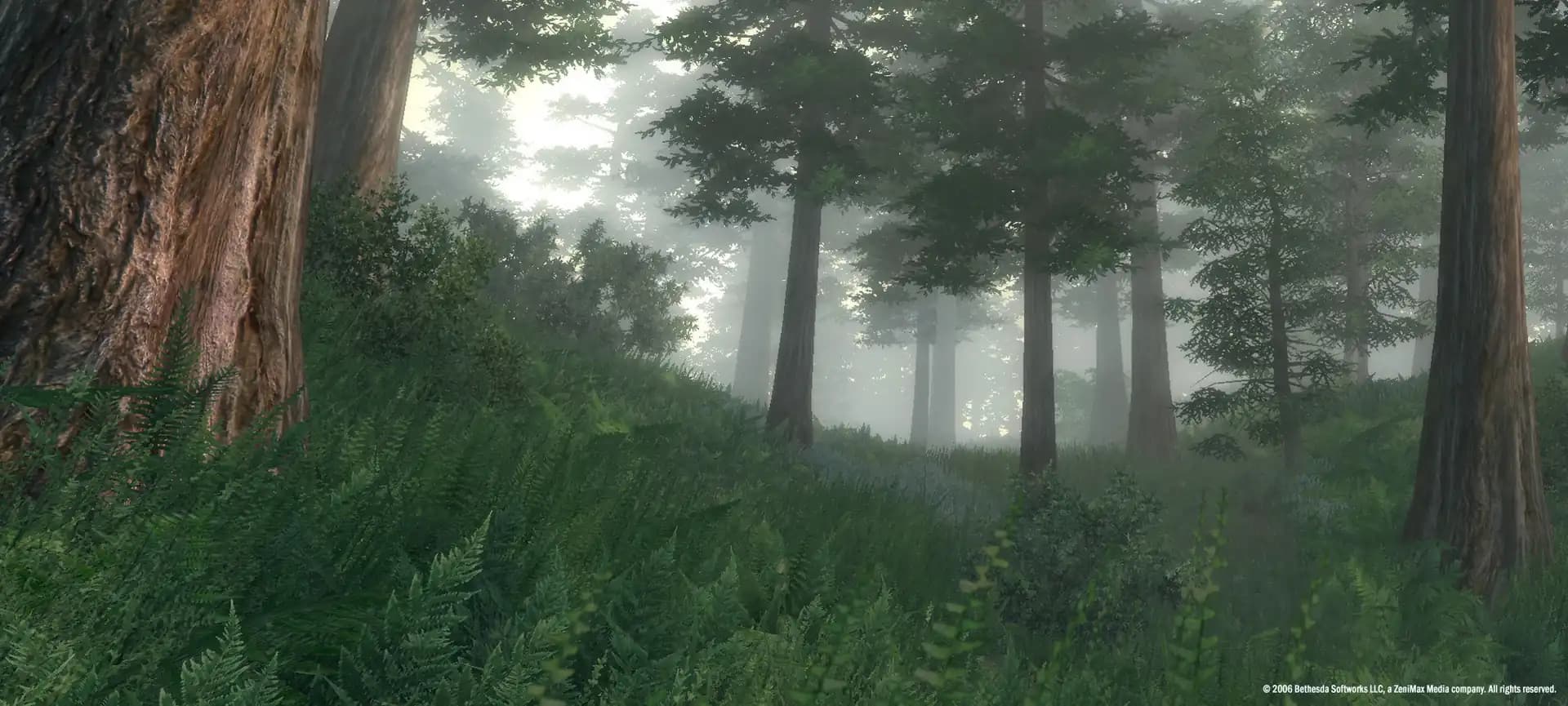 The Elder Scrolls IV: Oblivion GOTY Deluxe Edition media 1