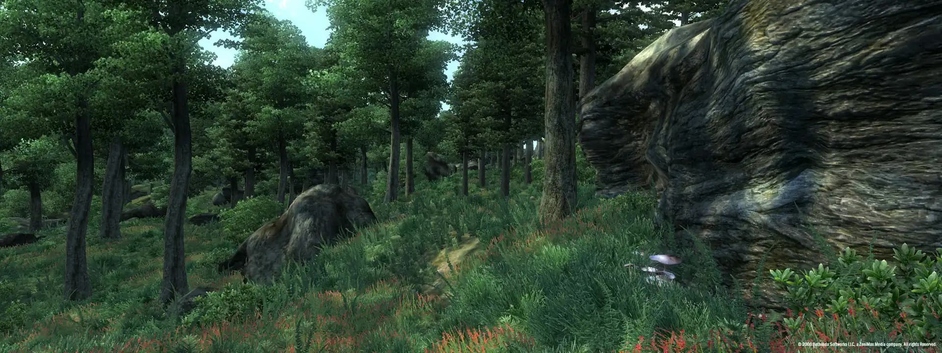 The Elder Scrolls IV: Oblivion GOTY Deluxe Edition media 2