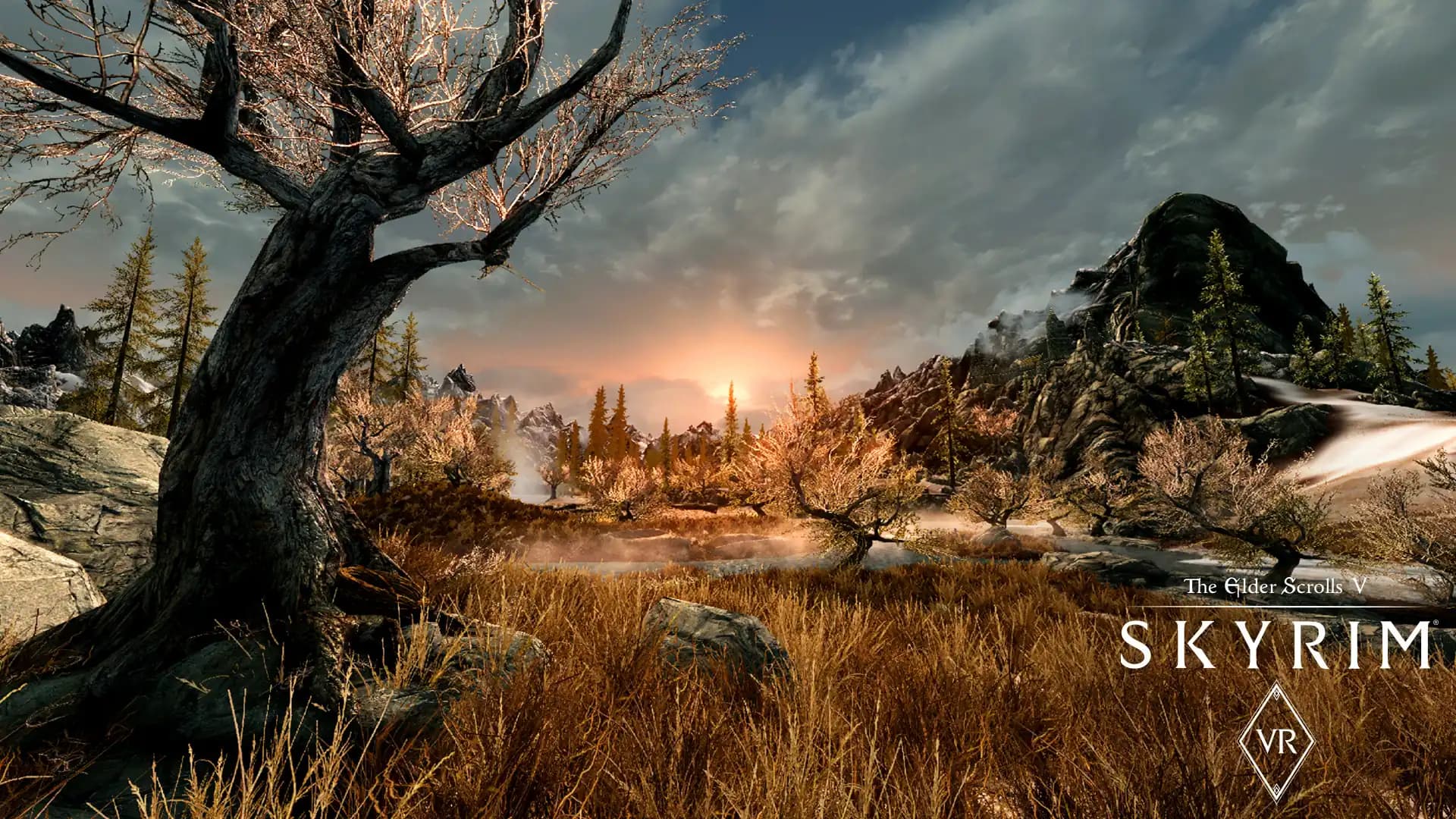 The Elder Scrolls V: Skyrim VR media 1