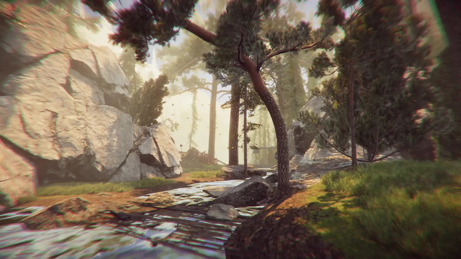 The Forest Cathedral media 3