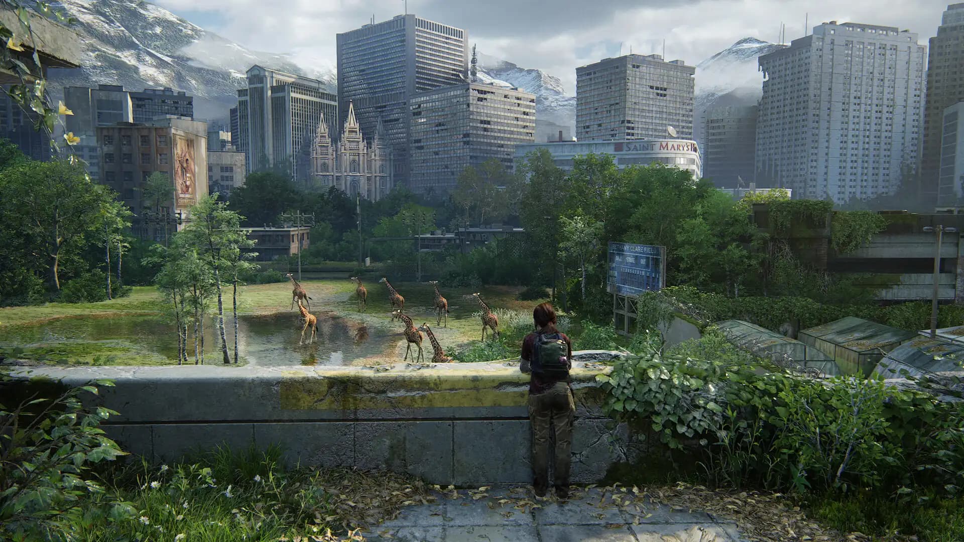 The Last of Us Part I media 3
