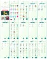 👑 LEVEL 49 RARE 2019 ACCOUNT 👑 SHINY LUCA HAT PIKACHU 👑 SHINY HATCHED LUCARIO 👑 SHINY MYTHICAL CELEBI 👑 SHADOW LEGEND MEWTWO 👑