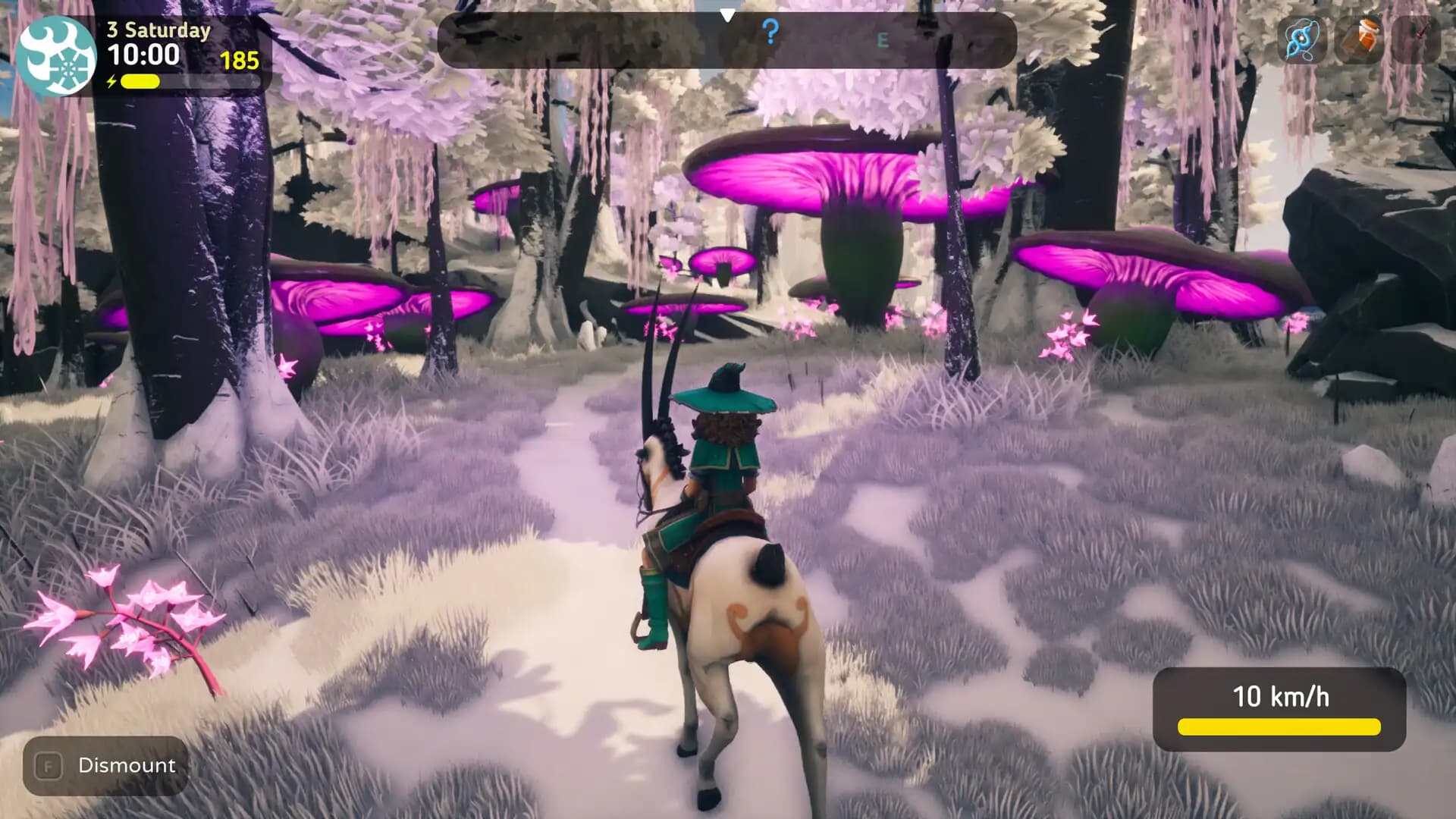 The Witch of Fern Island media 4