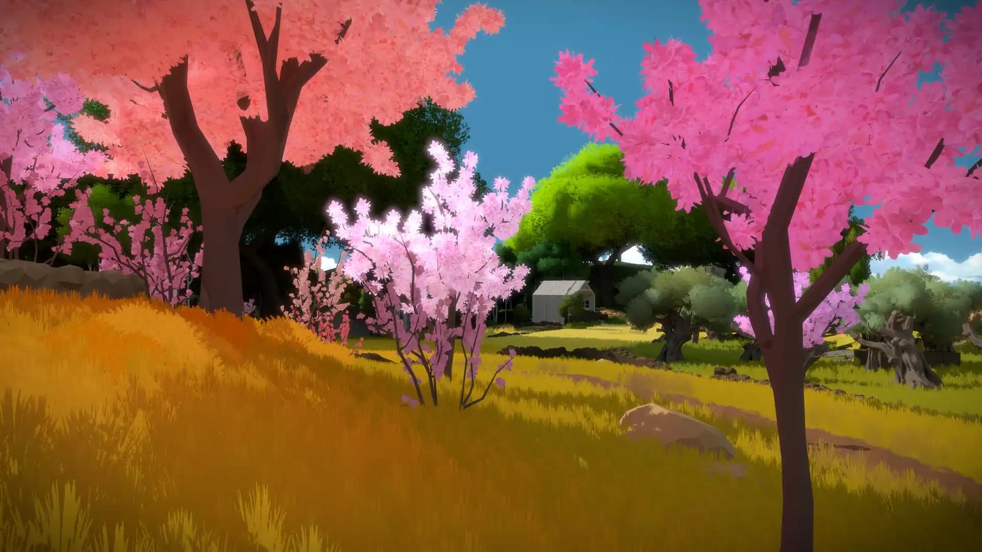 The Witness media 4