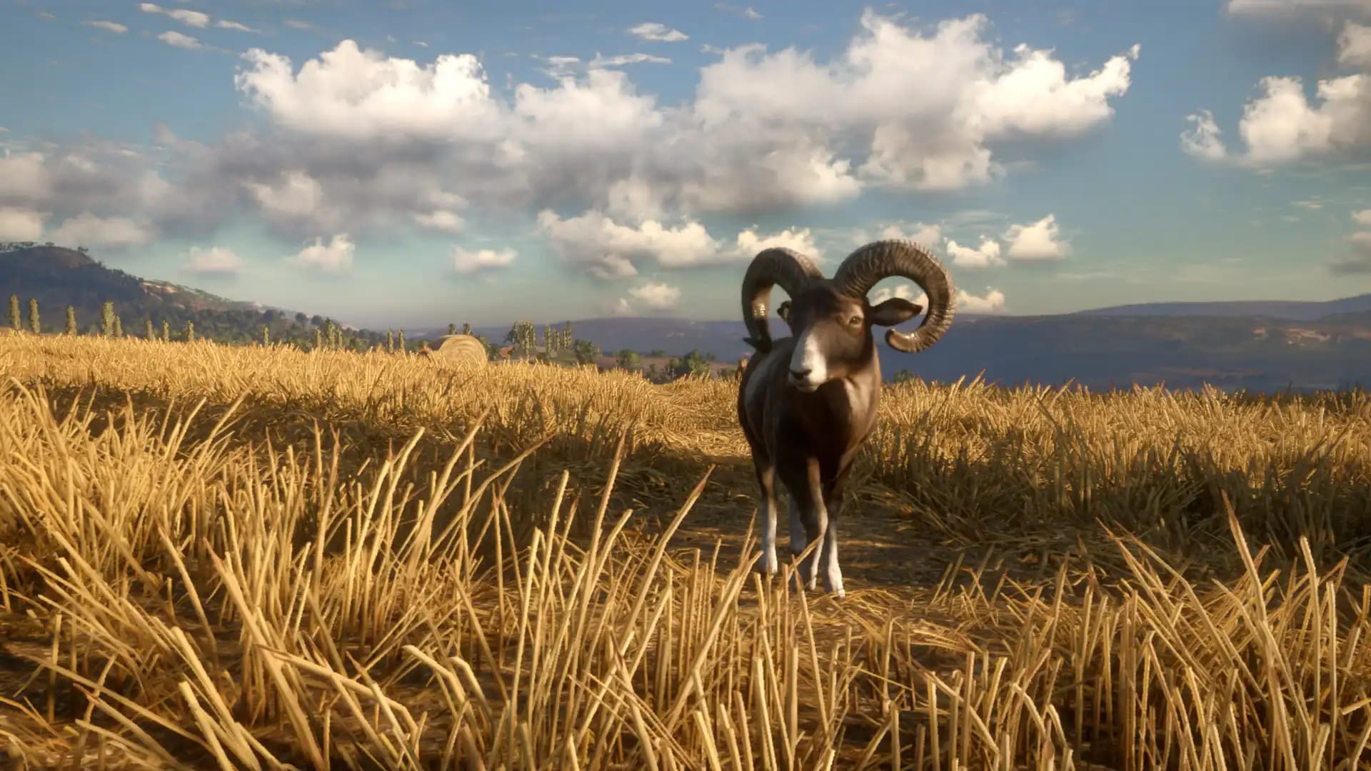 TheHunter: Call of the Wild - Cuatro Colinas Game Reserve media 1
