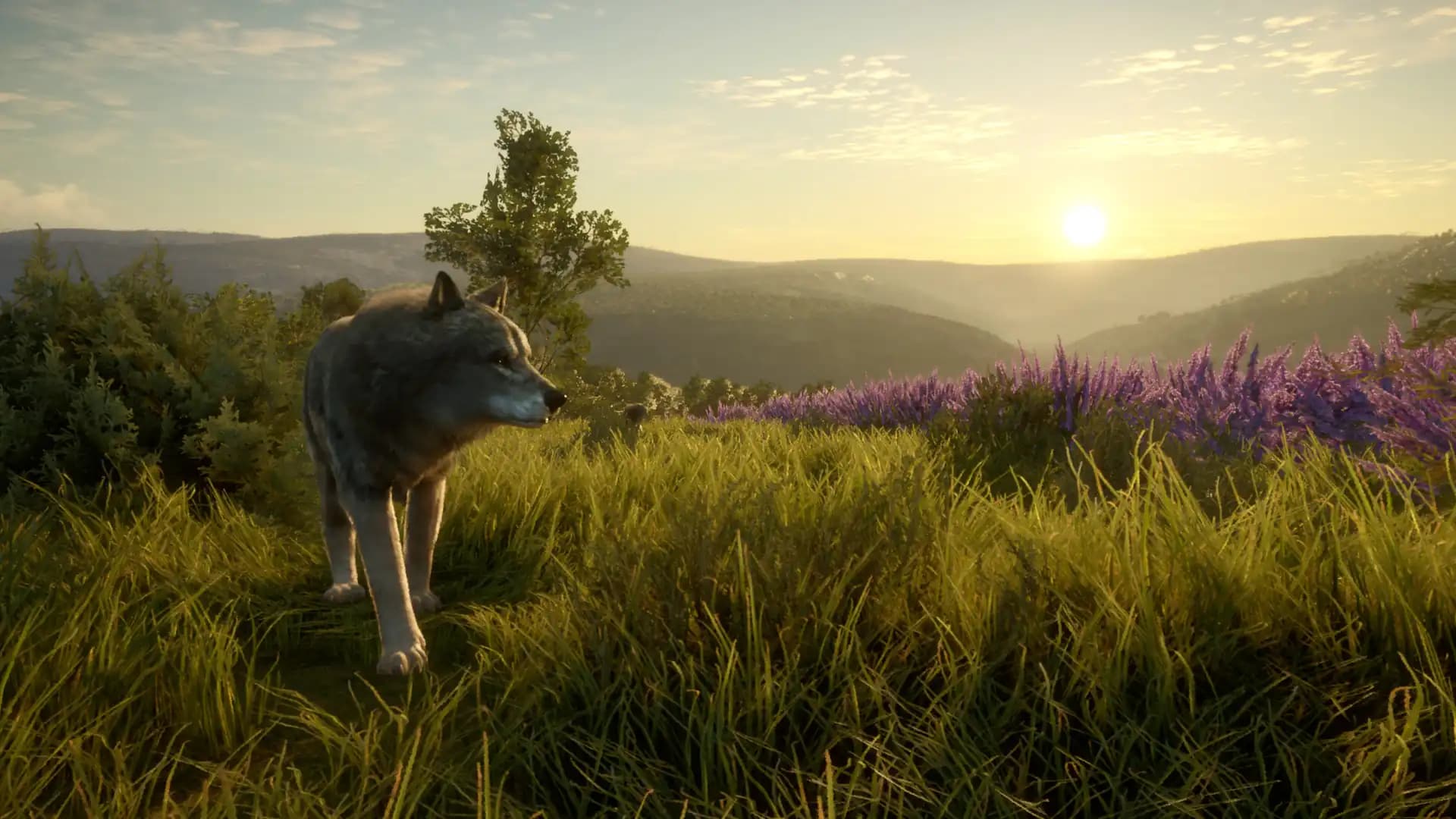 TheHunter: Call of the Wild - Cuatro Colinas Game Reserve media 2