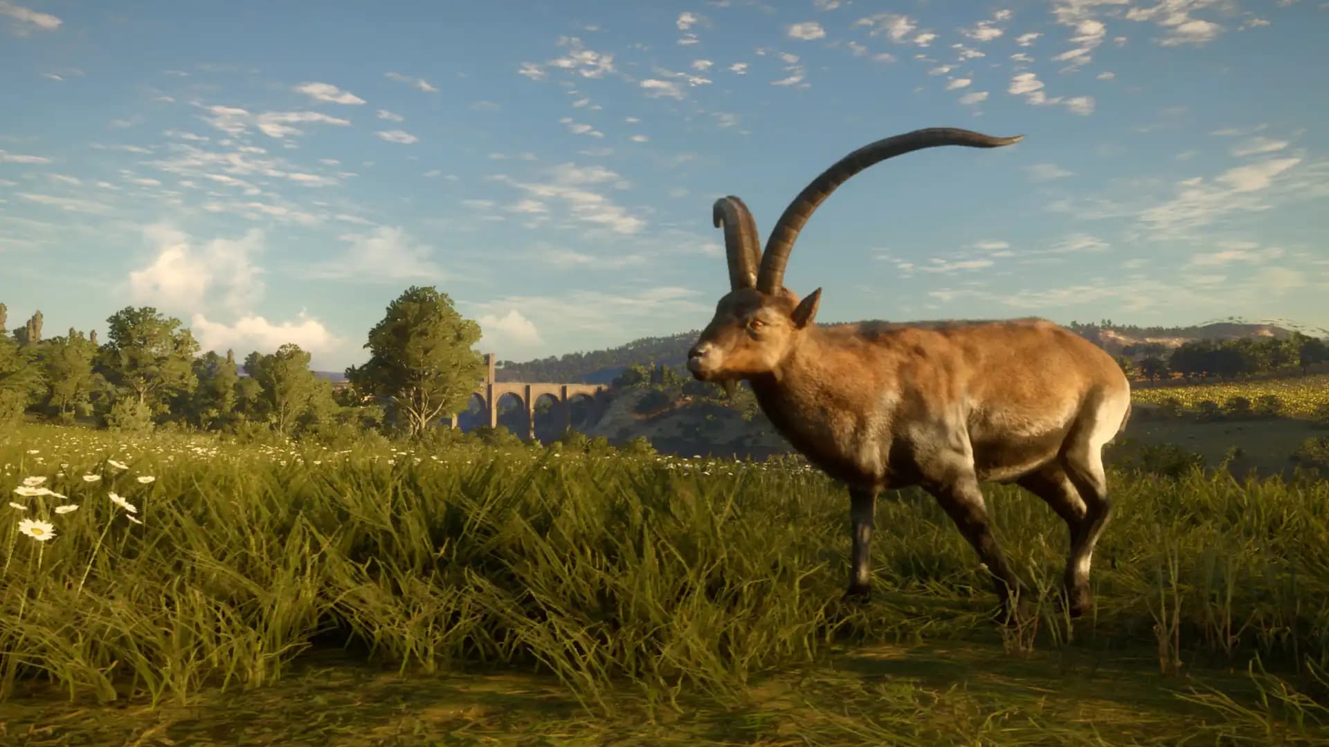 TheHunter: Call of the Wild - Cuatro Colinas Game Reserve media 3