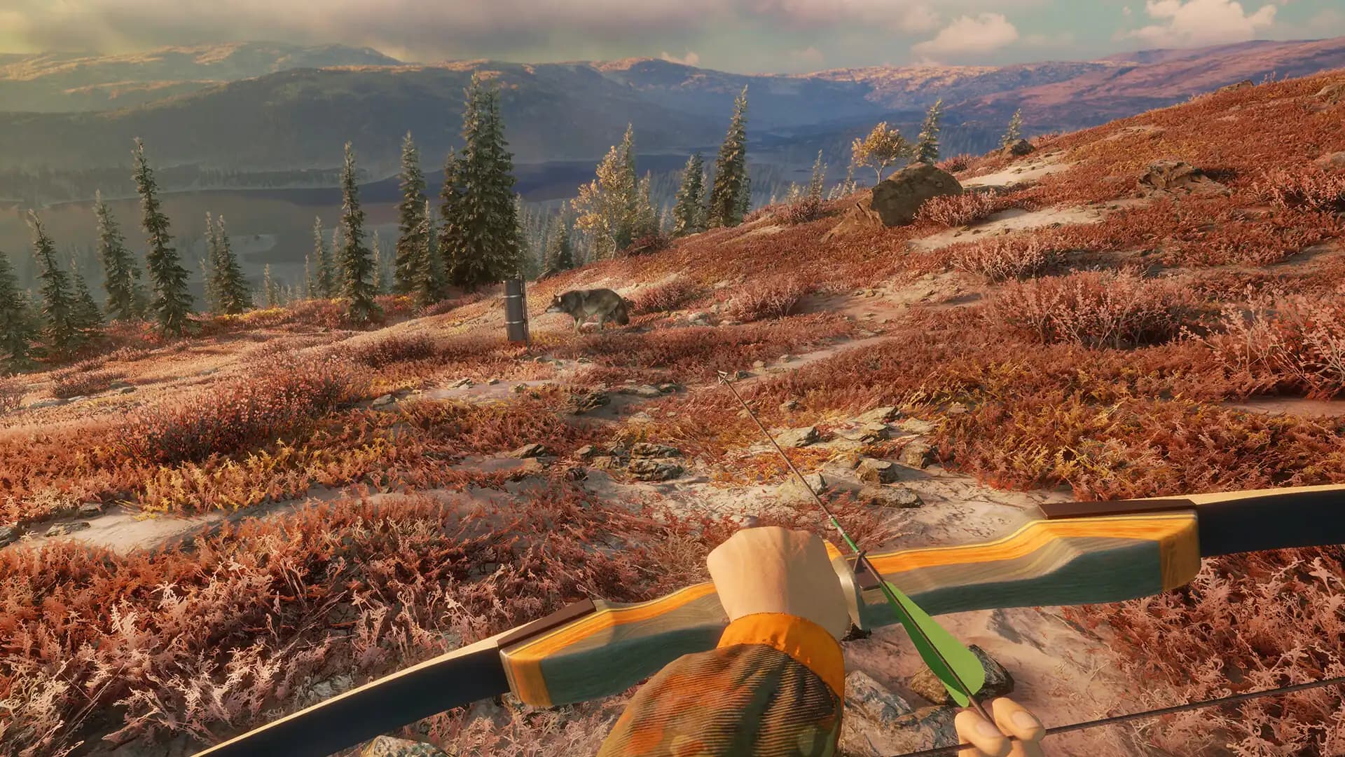 theHunter: Call of the Wild - Game Feeder Pack 2 media 3