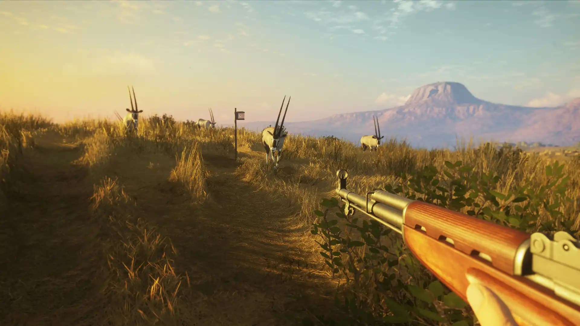 theHunter: Call of the Wild - Game Feeder Pack 2 media 4